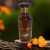 Мъжки Парфюм - My Perfumes Lost In Woods EDP 100 мл.
